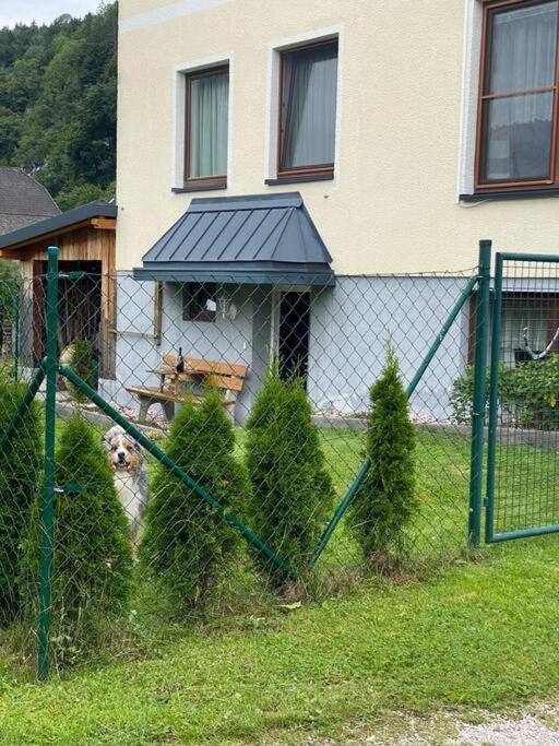 Gemuetliche Kleine Wohnung Mit Garten Unterburg  Εξωτερικό φωτογραφία
